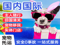凤凰空运公司国际宠物托运 【国